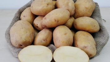 ONARAN 2015 Yerli Patates Tohumu