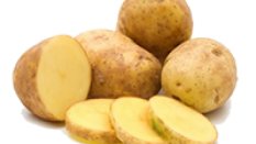 POMGUEEN Patates Tohumu