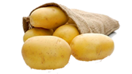 Banba Patates Tohumu