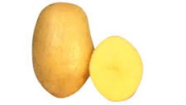 Arizona Patates Tohumu