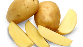 Marfona Patates Tohumu