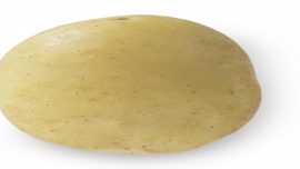 ORCHESTRA Patates Tohumu